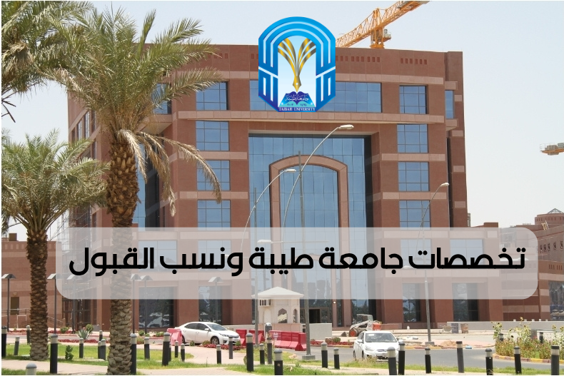تخصصات جامعة طيبة 1447